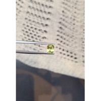 1.21 Ct. Yellowish Green Sapphire from Madagascar Life Style