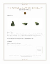Jewelry Appraisal