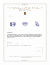 Jewelry Appraisal