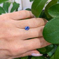 0.87 Ct. Blue Sapphire from Ceylon (Sri Lanka) Life Style