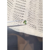1.63 Ct. Yellowish Green Sapphire from Madagascar Life Style