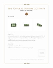 Jewelry Appraisal