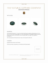 Jewelry Appraisal