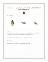 Jewelry Appraisal