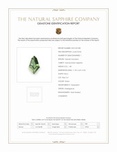 Jewelry Scan Report