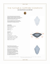 Jewelry 3 D Scan Report