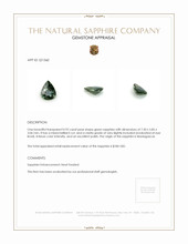 0.92 Ct. Green Sapphire from Madagascar Appraisal