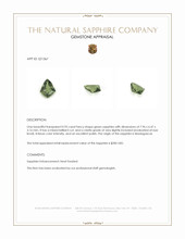 Jewelry Appraisal