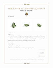 0.95 Ct. Green Sapphire from Madagascar Appraisal