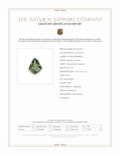 Jewelry Scan Report
