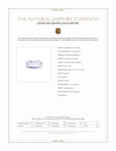 Jewelry Scan Report