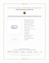 Jewelry Scan Report