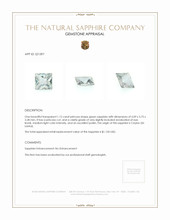 1.12 Ct. Green Sapphire from Ceylon (Sri Lanka) Appraisal