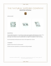 1.12 Ct. Green Sapphire from Ceylon (Sri Lanka) Appraisal