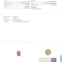 Jewelry Scan Report