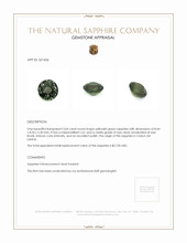 3.04 Ct. Yellowish Green Sapphire from Ceylon (Sri Lanka) Appraisal