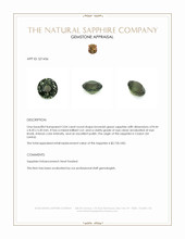 3.04 Ct. Brownish Green Sapphire from Ceylon (Sri Lanka) Appraisal