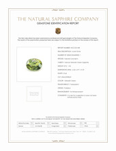 1.04 Ct. Yellowish Green Sapphire from Thailand Scan Report