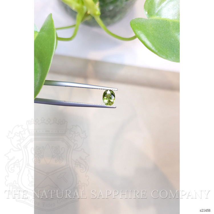 1.04 Ct. Yellowish Green Sapphire from Thailand