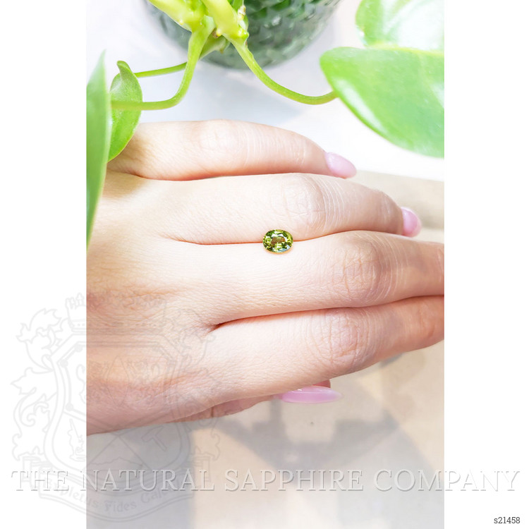 1.04 Ct. Yellowish Green Sapphire from Thailand