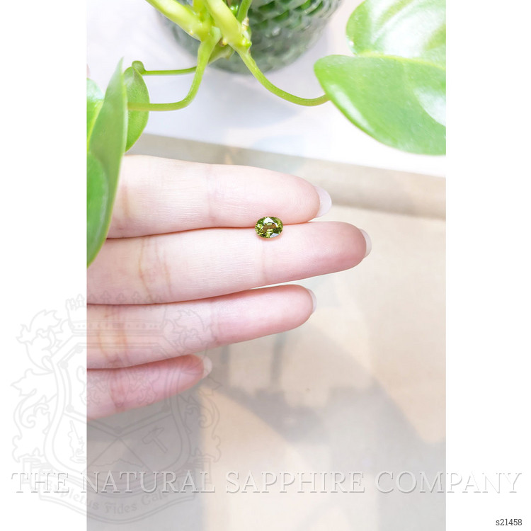 1.04 Ct. Yellowish Green Sapphire from Thailand