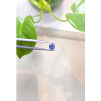 0.63 Ct. Blue Sapphire from Thailand Life Style