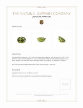 1.32 Ct. Green Sapphire from Thailand Appraisal