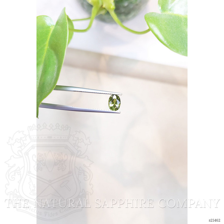 1.32 Ct. Green Sapphire from Thailand