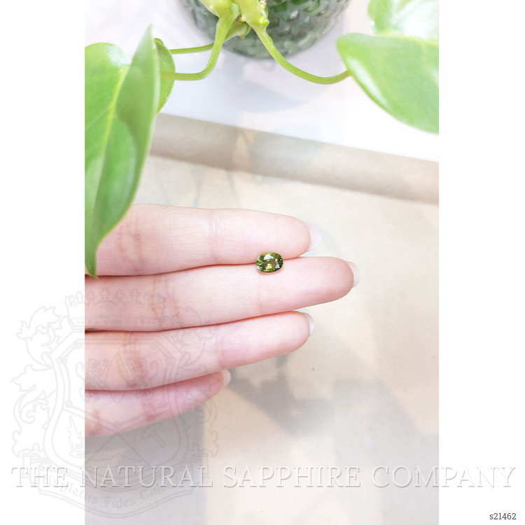 1.32 Ct. Green Sapphire from Thailand
