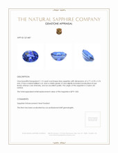 1.13 Ct. Blue Sapphire from Ceylon (Sri Lanka) Appraisal
