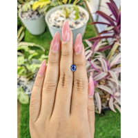 1.13 Ct. Blue Sapphire from Ceylon (Sri Lanka) Life Style