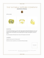Jewelry Appraisal