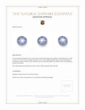 7.02 Ct. Bluish Grey Star Sapphire from Ceylon (Sri Lanka) Appraisal