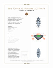 Jewelry 3 D Scan Report