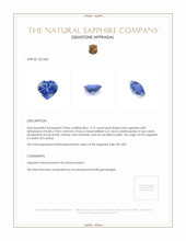 2.75 Ct. Sapphire from Ceylon (Sri Lanka) Appraisal