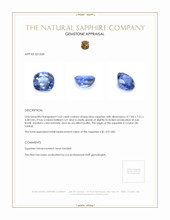 2.62 Ct. Blue Sapphire from Ceylon (Sri Lanka) Appraisal