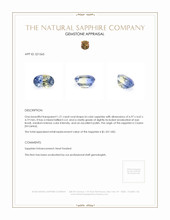 1.21 Ct. Sapphire from Ceylon (Sri Lanka) Appraisal