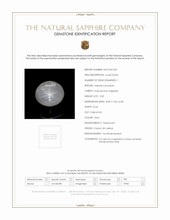 3.00 Ct. Grey Star Sapphire from Ceylon (Sri Lanka) Scan Report