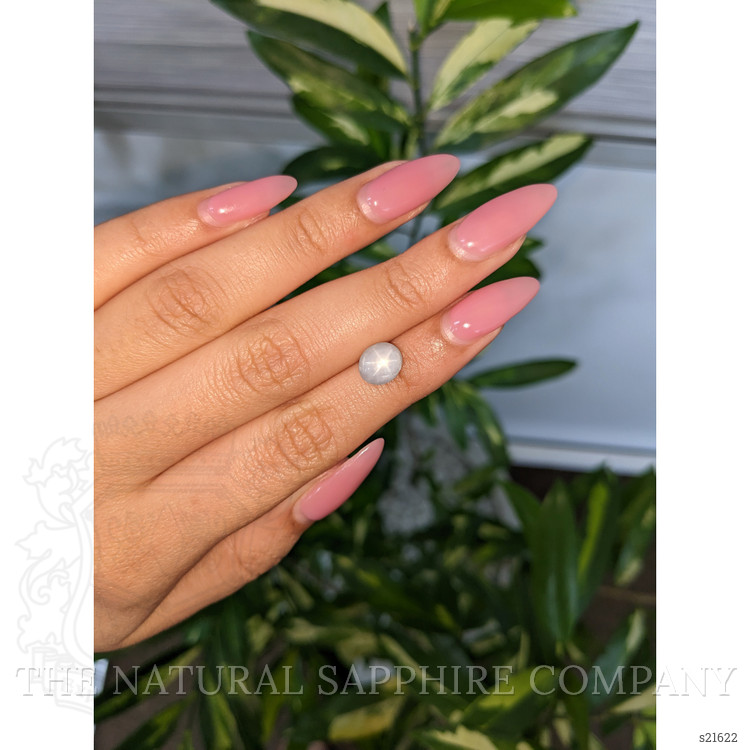 3.00 Ct. Grey Star Sapphire from Ceylon (Sri Lanka)