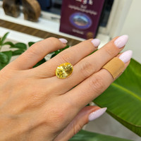 10.00 Ct. Yellow Sapphire from Ceylon (Sri Lanka) Life Style