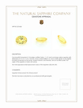 11.47 Ct. Yellow Sapphire from Ceylon (Sri Lanka) Appraisal