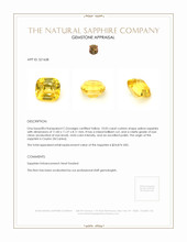 10.05 Ct. Yellow Sapphire from Ceylon (Sri Lanka) Appraisal