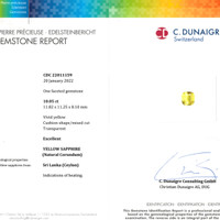 10.05 Ct. Yellow Sapphire from Ceylon (Sri Lanka) Scan Report