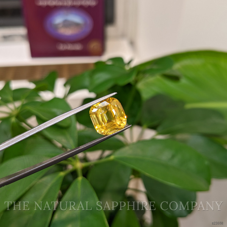10.05 Ct. Yellow Sapphire from Ceylon (Sri Lanka)