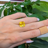 10.05 Ct. Yellow Sapphire from Ceylon (Sri Lanka) Life Style
