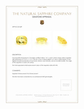 10.11 Ct. Yellow Sapphire from Ceylon (Sri Lanka) Appraisal