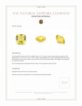 14.99 Ct. Yellow Sapphire from Ceylon (Sri Lanka) Appraisal