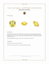 14.99 Ct. Yellow Sapphire from Ceylon (Sri Lanka) Appraisal