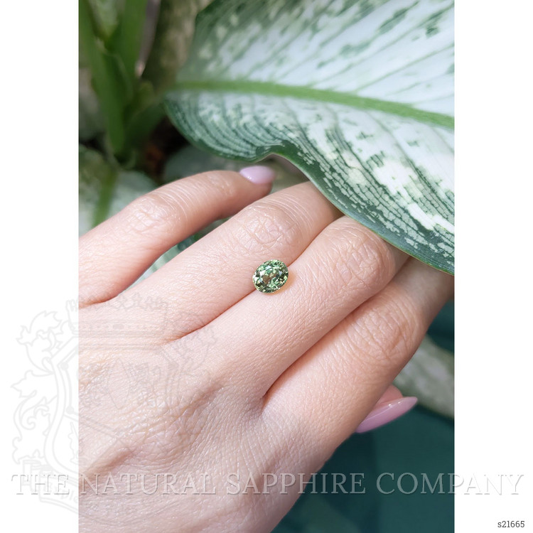 1.73 Ct. Green Sapphire from Ceylon (Sri Lanka)