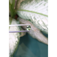 1.73 Ct. Green Sapphire from Ceylon (Sri Lanka) Life Style